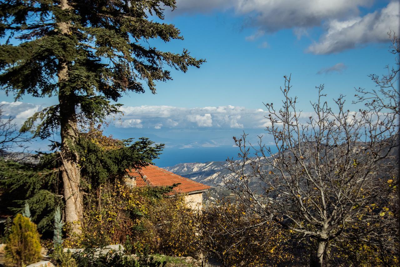 Apartment Anotopos Ano Trikala